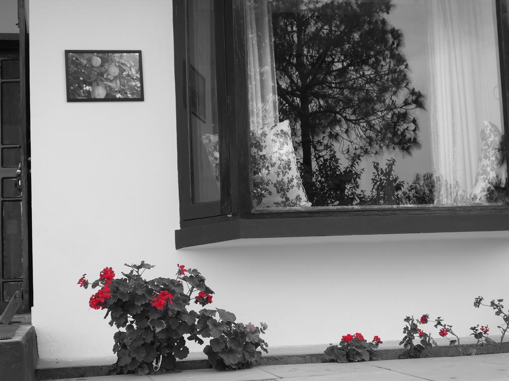 Hostie Sharanam - 2Bhk Pvt Mountain Villa, Majkhali Ranikhet Exteriér fotografie